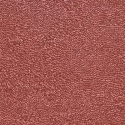 MOJAVE - CINNAMON thumbnail 2