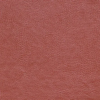 MOJAVE - CINNAMON — Kalahari swatch, view 1