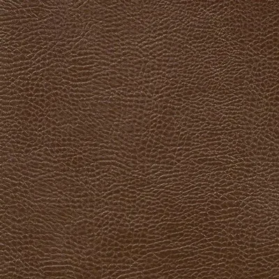 MOJAVE - COCOA — Kalahari swatch, view 1
