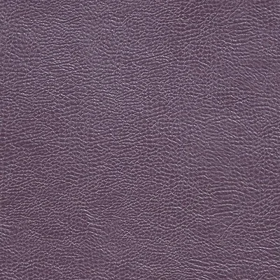 MOJAVE - DAMSON thumbnail 2