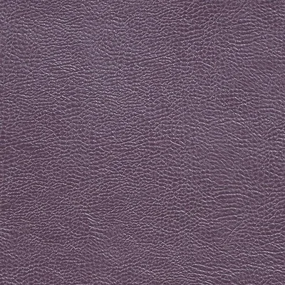 MOJAVE - DAMSON — Kalahari swatch, view 1