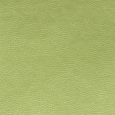 MOJAVE - GRASS thumbnail 2