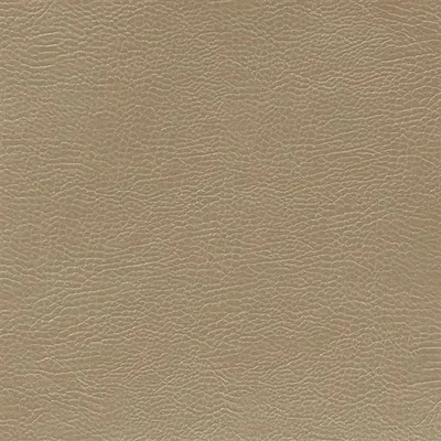 MOJAVE - HAZEL thumbnail 2