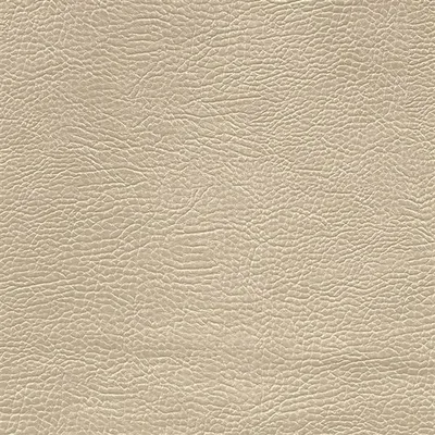 MOJAVE - PUTTY thumbnail 2