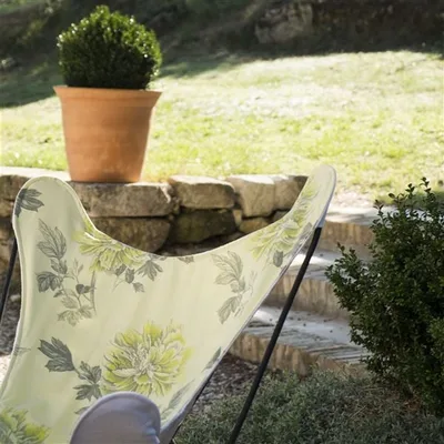 HIYOKU - ACACIA thumbnail 4