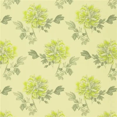 HIYOKU - ACACIA — Kaori swatch, view 1