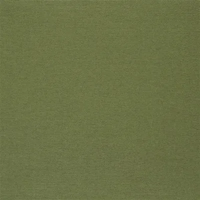 KELLAS - FOREST swatch