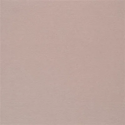 KELLAS - SHELL swatch