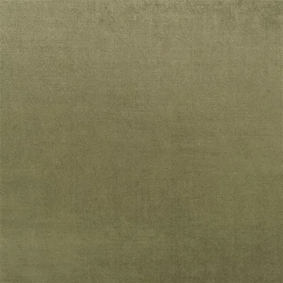 VICENZA MOSS thumbnail 2