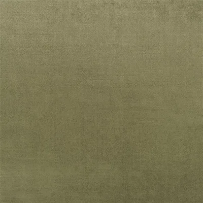 VICENZA MOSS — Kumana swatch, view 1