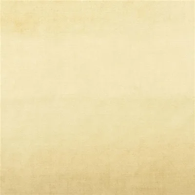 VICENZA OCHRE thumbnail 4