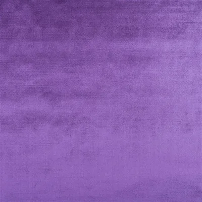 VICENZA VIOLET thumbnail 2