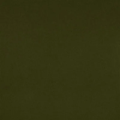 LODEN MOSS — Loden swatch, view 1