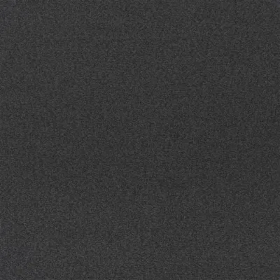 LODEN NOIR thumbnail 2