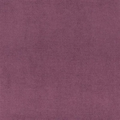 MADRID CURRANT thumbnail 2