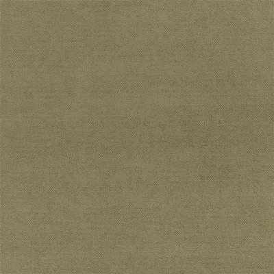 MADRID THYME thumbnail 2