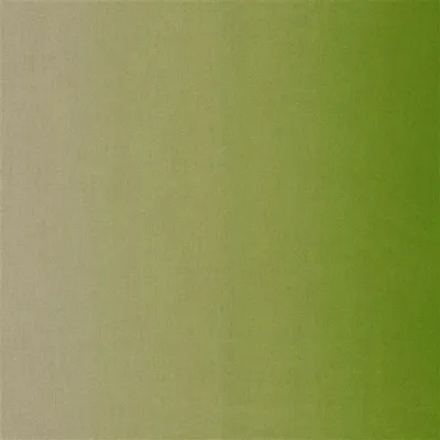 PADUA - GRASS thumbnail 2