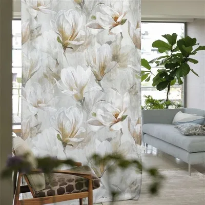 YULAN BIRCH thumbnail 3