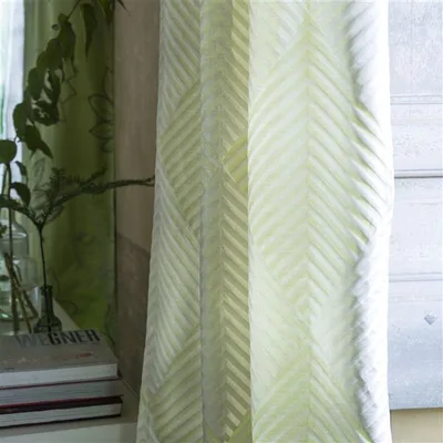 CHACONNE - ACACIA thumbnail 6