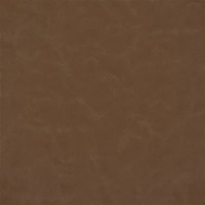 MATARA LUCIDA CHESTNUT thumbnail 2