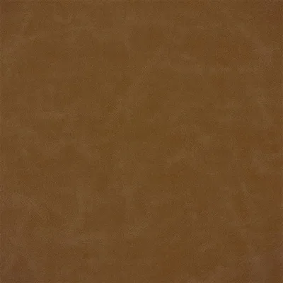 MATARA LUCIDA CINNAMON — Matara Ii swatch, view 1