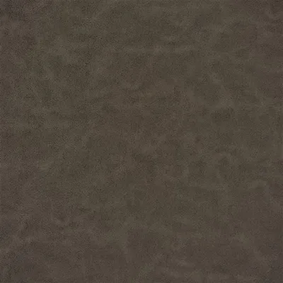 MATARA LUCIDA OAK thumbnail 2