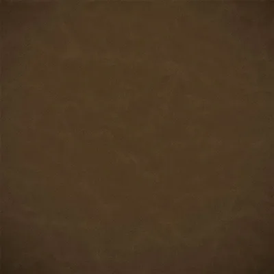 MATARA LUCIDA SEPIA thumbnail 2