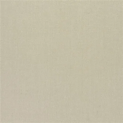 CHIRON - NATURAL swatch