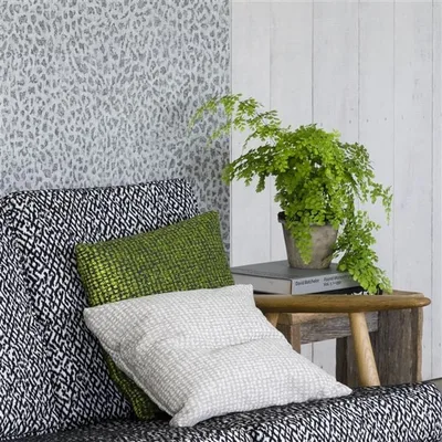 MAVONE - ALCHEMILLA thumbnail 3