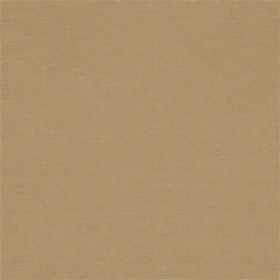 MELZO BIRCH thumbnail 2