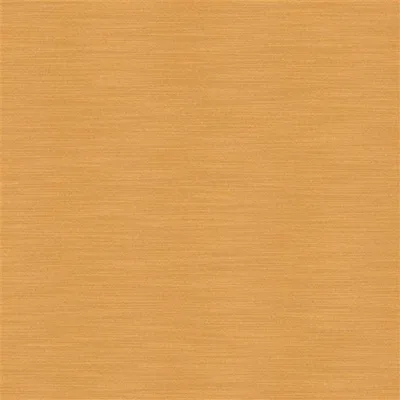 PAMPAS APRICOT thumbnail 2