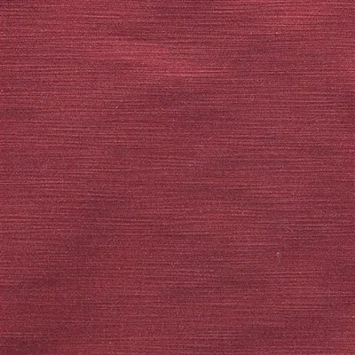 PAMPAS - CLARET — Mesilla swatch, view 1