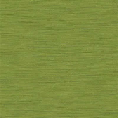 PAMPAS FERN thumbnail 4