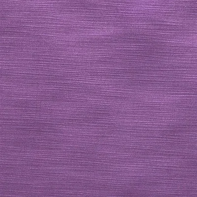 PAMPAS - PLUM thumbnail 2