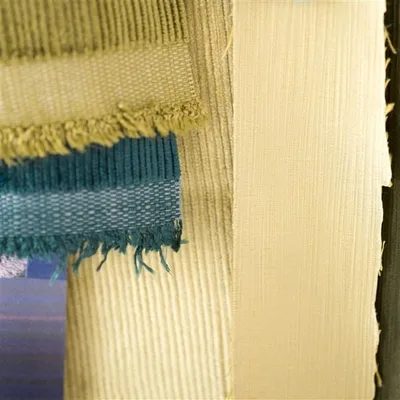 PAMPAS - PRIMROSE thumbnail 3