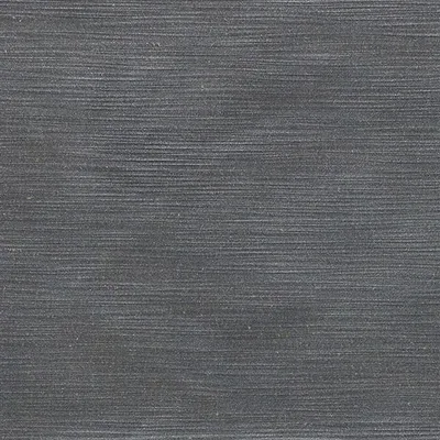 PAMPAS - STEEL — Mesilla swatch, view 1