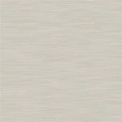 PAMPAS TITANIUM thumbnail 2