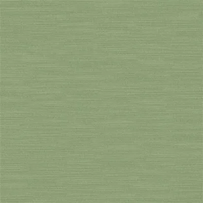 PAMPAS VINTAGE GREEN thumbnail 2