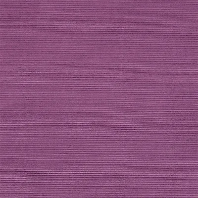 PAMPAS - VIOLA thumbnail 5