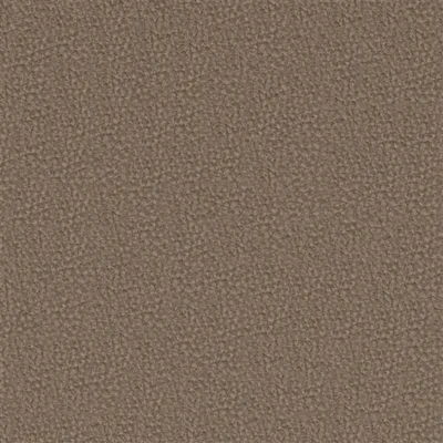 MEZZOLA LUXE ROEBUCK — Mezzola Luxe swatch, view 1