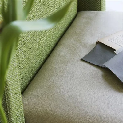 MEZZOLA MODA MUSTARD swatch