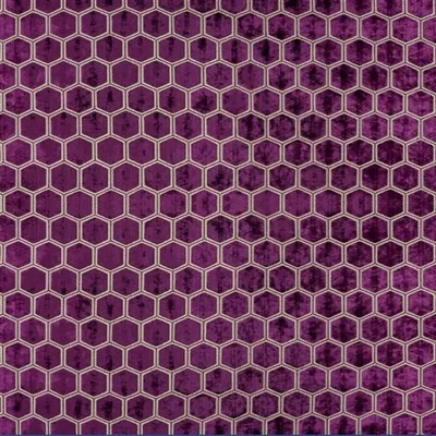 MANIPUR DAMSON thumbnail 2