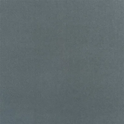 MANIPUR DOVE thumbnail 5