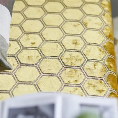 MANIPUR SIENNA thumbnail 3