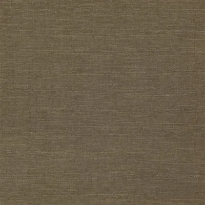 MIRISSA ACORN thumbnail 2