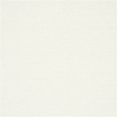 AUSKERRY - OYSTER — Morvern swatch, view 1