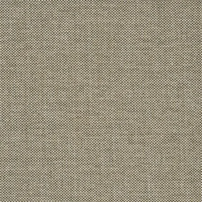 MORVERN - BIRCH — Morvern swatch, view 1