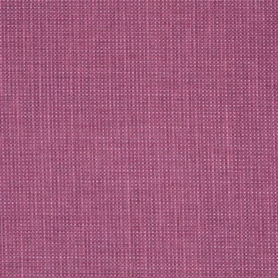 MORVERN - CASSIS thumbnail 2