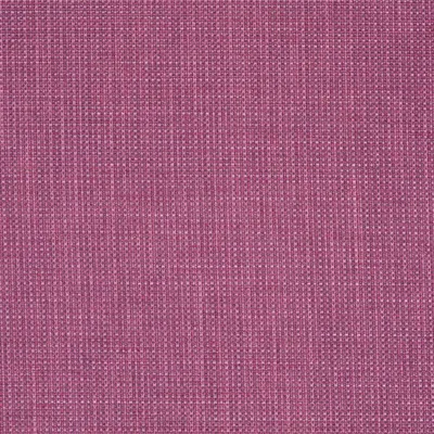 MORVERN - CASSIS — Morvern swatch, view 1