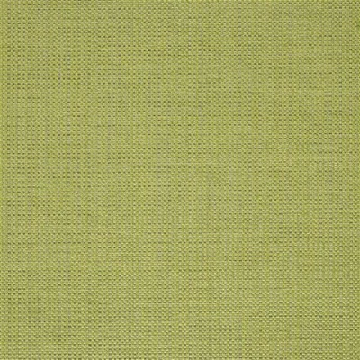 MORVERN - LEAF swatch